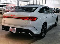 بي واي دي سيل 06 DM-i